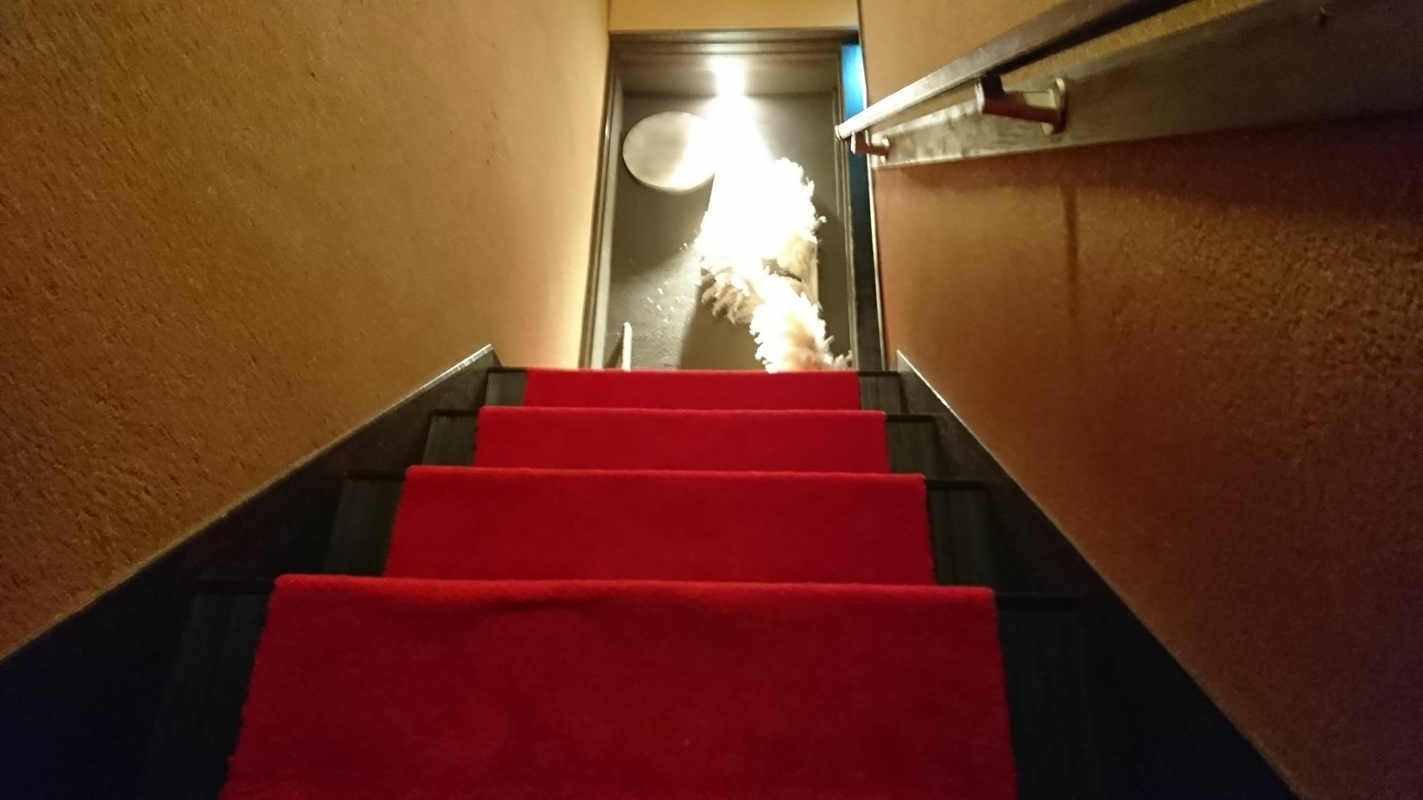 ยาโดะยะ Hotel เกียวโต ภายนอก รูปภาพ